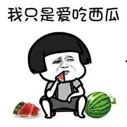 吃瓜娱乐高清,揭秘娱乐圈幕后故事